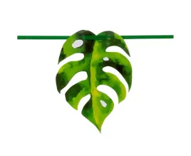 baner-papierowy-palmowe-liscie-monstera-juka-300-cm