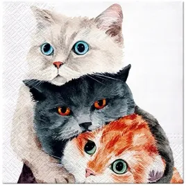 serwetki-papierowe-paw-koty-better-together-33x3