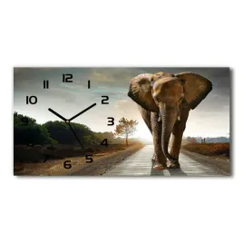 zegar-ze-szkla-na-sciane-spacerujacy-slon-60x30-cm
