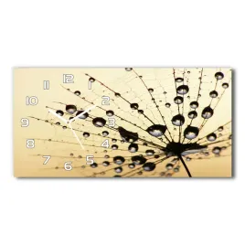 zegar-scienny-szklany-nasiono-dmuchawca-60x30-cm