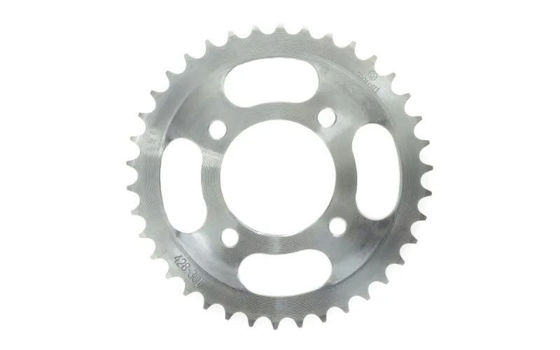 zebatka-tylna-38-428