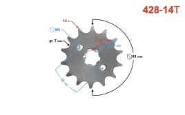 zebatka-zdawcza-moretti-14-428