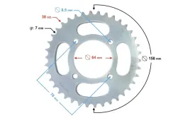 zebatka-tylna-38-428