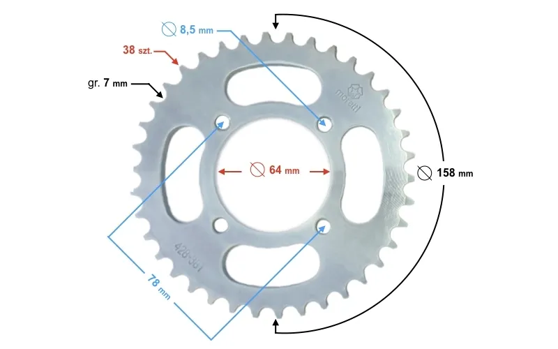 zebatka-tylna-38-428