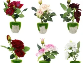 kwiat-roza-w-doniczce-0403d