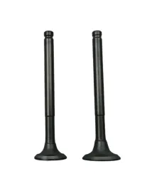 zawor-ssacy-i-wydechowy-50ccm-4t-139qmb