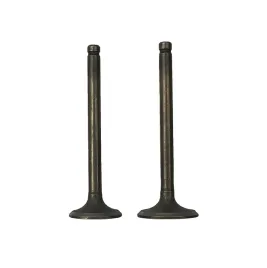 zawor-ssacy-i-wydechowy-atv-110ccm