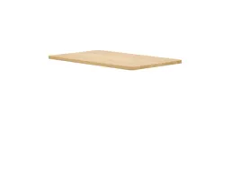 blat-flexispot-pr1006-100x60-cm-kolor-klon-do-biurka-regulowanego