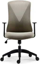 ergonomiczny-fotel-biurowy-flexispot-bs9-z-podlokietnikami-kremowy-oliwka