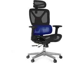 fotel-ergonomiczny-flexispot-ergox-czarny-siatka-zaglowek-136-kg