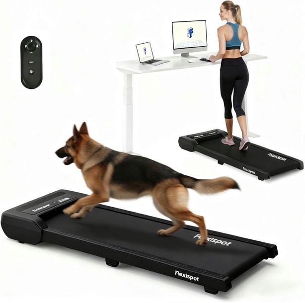 BIEŻNIA WALKING PAD FLEXISPOT GP018 POD BIURKO LED 6KMH 120KG PILOT