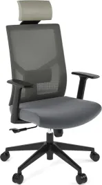 ergonomiczne-krzeslo-biurowe-szare-z-podlokietnikami-flexispot-bs12