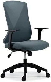 fotel-biurowy-flexispot-szaro-niebieski-ergonomiczny-skladane-podlokietniki