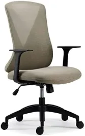 krzeslo-biurowe-ergonomiczne-z-podparciem-ledzwi-szare-flexispot-bs9