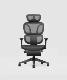 ergonomiczne-krzeslo-biurowe-siatka-podnozek-flexispot-bs5-pro