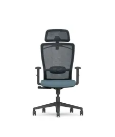 fotel-biurowy-ergonomiczny-siatka-regulowany-flexispot-bs3-szary