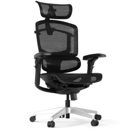 fotel-ergonomiczny-biurowy-siatka-5d-250kg-flexispot-ergox-pro-czarny