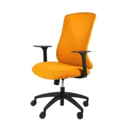 fotel-biurowy-ergonomiczny-regulowany-ledzwiowy-flexispot-bs9-pomaranczowy
