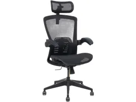 fotel-biurowy-ergonomiczny-siatka-regulowany-flexispot-oc3-pro-czarny