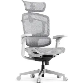 fotel-biurowy-ergonomiczny-250kg-regulowany-flexispot-ergox-pro-szary