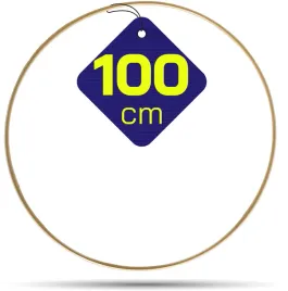 metalowa-obrecz-zlota-mat-kolko-lapaczy-snow-100