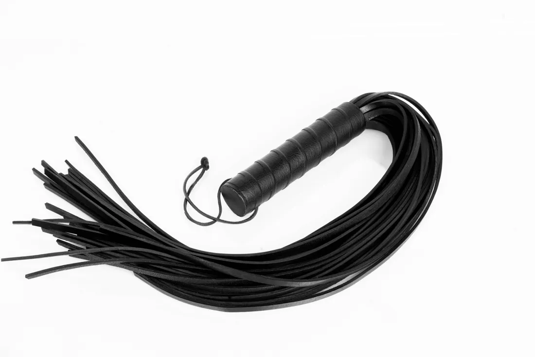 pejcz-duzy-primal-bond-classic-whips