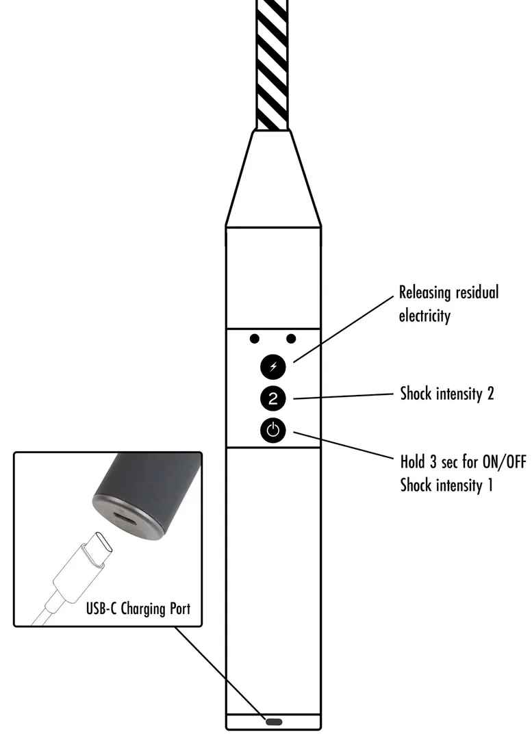 hidden-desire-extreme-electro-cane