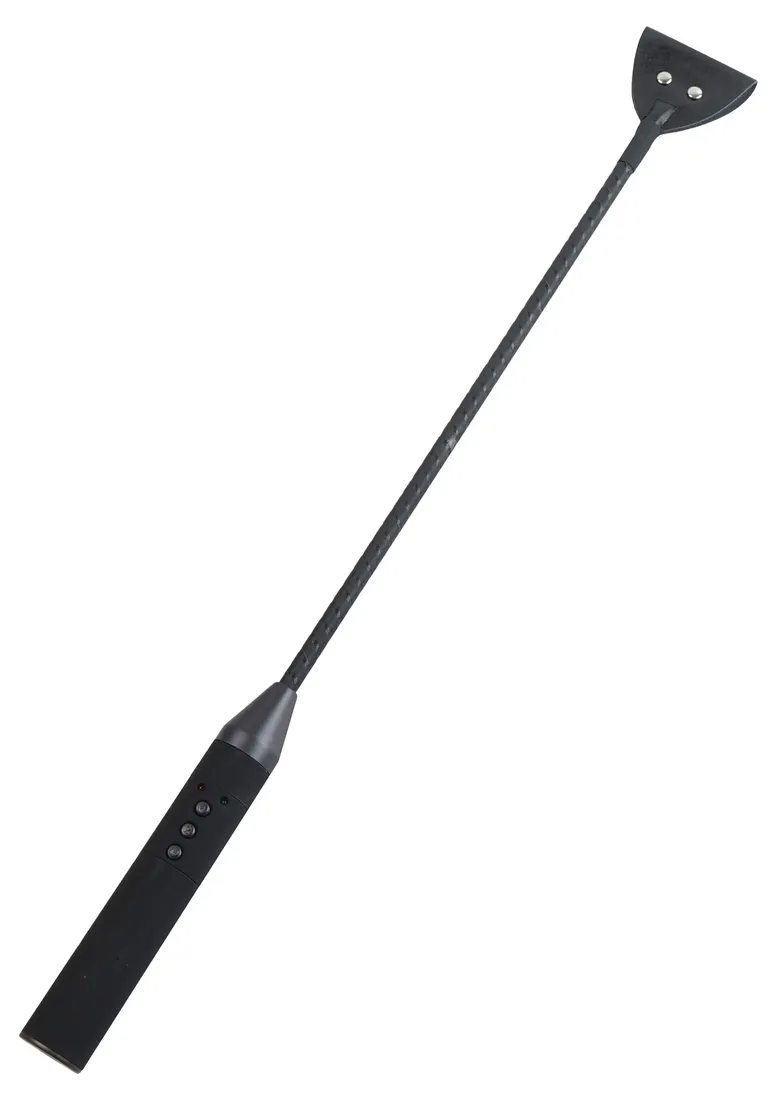 hidden-desire-extreme-electro-riding-crop