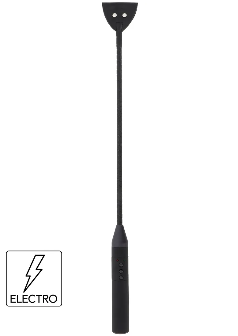 hidden-desire-extreme-electro-riding-crop