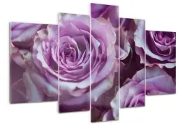 foto-obraz-akrylowy-duzy-tryptyk-fioletowe-roze