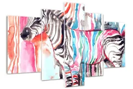 foto-obraz-akrylowy-duzy-tryptyk-kolorowa-zebra