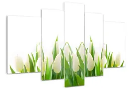 foto-obraz-akrylowy-duzy-tryptyk-biale-tulipany