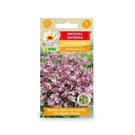 maciejka-dwuroga-jasno-fioletowa-3-g