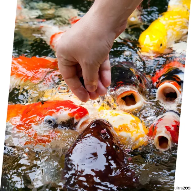 tropical-pond-sticks-mixed-4kg-tropical-stan-nowy-stan-opakowania-oryginalne