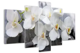 foto-obraz-akrylowy-tryptyk-nowoczesny-orchidea