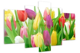 foto-obraz-akrylowy-tryptyk-kolorowe-tulipany
