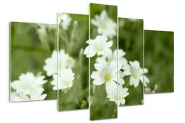 foto-obraz-akrylowy-duzy-tryptyk-wiosenne-kwiaty