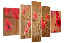 foto-obraz-akrylowy-duzy-tryptyk-maki-tryptyk
