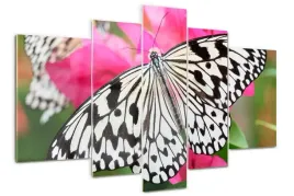 foto-obraz-akrylowy-poliptyk-motyl-na-kwiatku