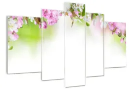 foto-obraz-akrylowy-duzy-tryptyk-wiosenne-kwiaty