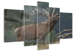foto-obraz-akrylowy-poliptyk-jelen-na-wzgorzu