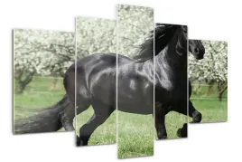 foto-obraz-akrylowy-poliptyk-czarny-kon-kwiaty