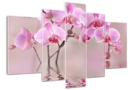 foto-obraz-akrylowy-duzy-tryptyk-rozowa-orchidea