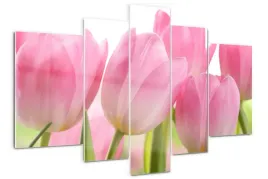foto-obraz-akrylowy-duzy-tryptyk-rozowe-tulipany