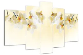 foto-obraz-akrylowy-duzy-tryptyk-orchidea-kwiaty