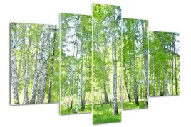 foto-obraz-akrylowy-duzy-tryptyk-brzozy-kwiaty