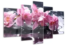foto-obraz-akrylowy-duzy-tryptyk-rozowa-orchidea