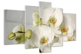 foto-obraz-akrylowy-duzy-tryptyk-biala-orchidea
