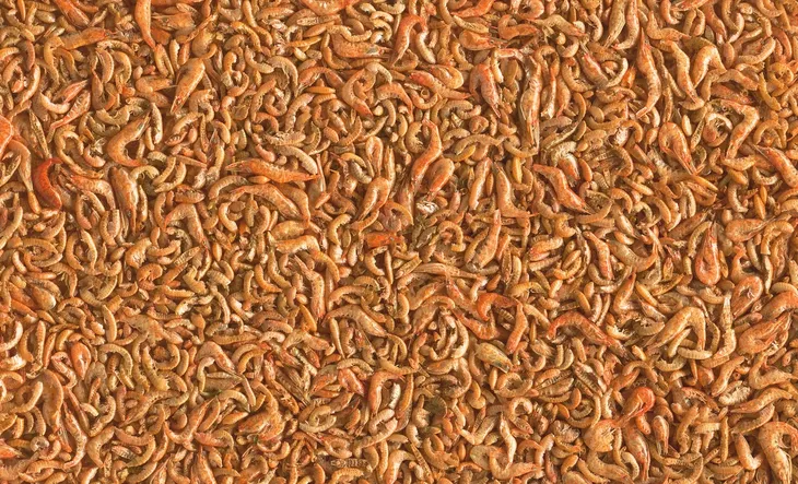 tetra-pond-shrimp-mix-1l-pojemnosc-1-l