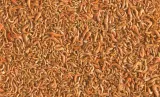 tetra-pond-shrimp-mix-1l-pojemnosc-1-l